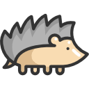 Hedgehog